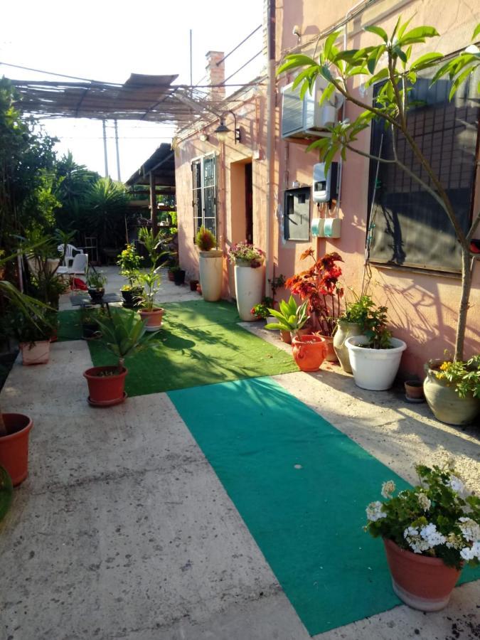 لاسكاري B B Casa Vacanze Il Pino Di Pino المظهر الخارجي الصورة